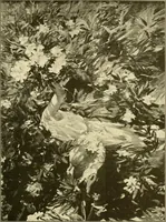 An illustration from Catalogues of exhibitions (1900)