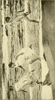 An illustration from Catalogues of exhibitions (1900)