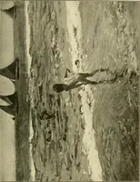 An illustration from Catalogues of exhibitions (1900)