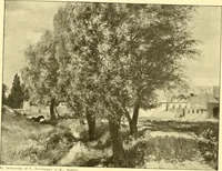 Picture 71 of 94 from Catalogues of exhibitions (1900), leaf 386