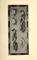 An illustration from Catalogue the Yamanaka collection of Japanese antique metals, wood-carvings and things Buddhistic from temples and palaces (1904)