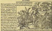 Picture 8 of 43 from Catalogus annorum et principum siue monarcharum mundi geminus plerisque in locis obscurioribus illustratus & in caelebrioribus locupletatus at[que] à mendis, recognitione diligenti repurgatus, : cum accessione multorum aliorum quae in priori aeditione non continebantur, quemadmodum suis locis toto libro uidere licebit, ab homine condito, us[que] in praesentem, à nato Christo, millesimum quingentesimum & quinquagesimum annum deductus & continuatus, (1550), leaf 32