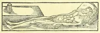 An illustration from Catalogus antiquarum et novarum rerum ex longe dissitis terrarum oris, (1699)