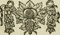 An illustration from Catalogus centuriae librorum rarissimorum manuscript. & partim impressorum, arabicorum, persicorum, turcicorum, graecorum, latinorum, &c. : qua anno MDCCV bibliothecam publicam Academiae upsalensis auxit & exornavit (1706)