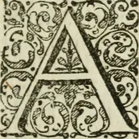 An illustration from Catalogus centuriae librorum rarissimorum manuscript. & partim impressorum, arabicorum, persicorum, turcicorum, graecorum, latinorum, &c. : qua anno MDCCV bibliothecam publicam Academiae upsalensis auxit & exornavit (1706)