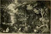 An illustration from Catalogus der schilderijen, miniaturen, pastels, omlijste teekeningen enz in het Rijks-Museum te Amsterdam (1903)