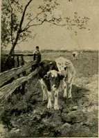 An illustration from Catalogus der schilderijen, miniaturen, pastels, omlijste teekeningen enz in het Rijks-Museum te Amsterdam (1903)