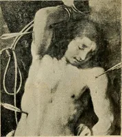 An illustration from Catalogus der schilderijen, miniaturen, pastels, omlijste teekeningen enz in het Rijks-Museum te Amsterdam (1903)