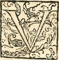 An illustration from Catalogus sanctorum et beatorum totius ordinis Camaldulensis : in quo etiam religionis initium, & viri dignitate atq[ue] virtutibus clari describuntur (1606)