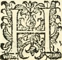 An illustration from Catalogus sanctorum et beatorum totius ordinis Camaldulensis : in quo etiam religionis initium, & viri dignitate atq[ue] virtutibus clari describuntur (1606)