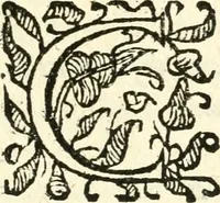 An illustration from Catalogus sanctorum et beatorum totius ordinis Camaldulensis : in quo etiam religionis initium, & viri dignitate atq[ue] virtutibus clari describuntur (1606)