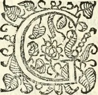 An illustration from Catalogus sanctorum et beatorum totius ordinis Camaldulensis : in quo etiam religionis initium, & viri dignitate atq[ue] virtutibus clari describuntur (1606)