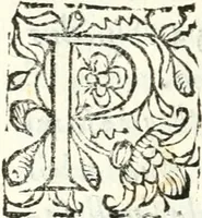 An illustration from Catalogus sanctorum et beatorum totius ordinis Camaldulensis : in quo etiam religionis initium, & viri dignitate atq[ue] virtutibus clari describuntur (1606)