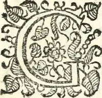 An illustration from Catalogus sanctorum et beatorum totius ordinis Camaldulensis : in quo etiam religionis initium, & viri dignitate atq[ue] virtutibus clari describuntur (1606)