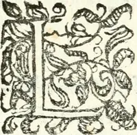 An illustration from Catalogus sanctorum et beatorum totius ordinis Camaldulensis : in quo etiam religionis initium, & viri dignitate atq[ue] virtutibus clari describuntur (1606)