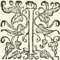 An illustration from Catalogus sanctorum et beatorum totius ordinis Camaldulensis : in quo etiam religionis initium, & viri dignitate atq[ue] virtutibus clari describuntur (1606)