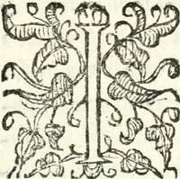 An illustration from Catalogus sanctorum et beatorum totius ordinis Camaldulensis : in quo etiam religionis initium, & viri dignitate atq[ue] virtutibus clari describuntur (1606)