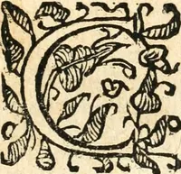 An illustration from Catalogus sanctorum et beatorum totius ordinis Camaldulensis : in quo etiam religionis initium, & viri dignitate atq[ue] virtutibus clari describuntur (1606)