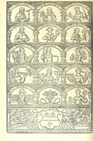 Picture 38 of 42 from Catalogvs gloriae mundi : laudes, honores, excellentias, ac pre̜eminentias omniũ fere statuũ, plurimarumq[ue] rerũ illius continẽs (1546), leaf 386