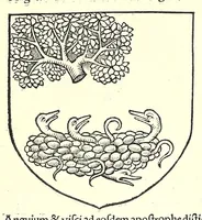 Picture 6 of 42 from Catalogvs gloriae mundi : laudes, honores, excellentias, ac pre̜eminentias omniũ fere statuũ, plurimarumq[ue] rerũ illius continẽs (1546), leaf 66