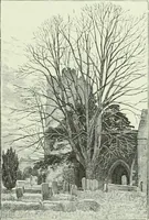 An illustration from Cathedrals, abbeys and churches of England and Wales : descriptive, historical, pictorial (1890)