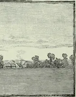 An illustration from Cathedrals, abbeys and churches of England and Wales : descriptive, historical, pictorial (1890)