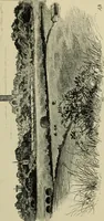 An illustration from Cathedrals, abbeys and churches of England and Wales, descriptive, historical, pictorial (1896)