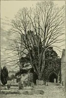 An illustration from Cathedrals, abbeys and churches of England and Wales, descriptive, historical, pictorial (1896)
