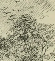 Picture 222 of 223 from Cathedrals, abbeys and churches of England and Wales, descriptive, historical, pictorial (1896), leaf 488