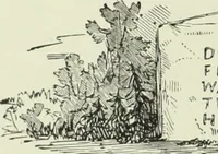 An illustration from Cathedrals, abbeys and churches of England and Wales : descriptive, historical, pictorial (1890)