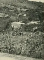 An illustration from Cathedrals and cloisters of the south of France (1906)