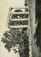 An illustration from Cathedrals and cloisters of the south of France (1906)