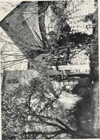 An illustration from Cathedrals and cloisters of the south of France (1906)