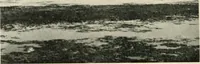An illustration from Cathedrals and cloisters of the south of France (1906)