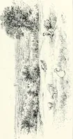 An illustration from The Cathedrals of England and Wales : their history, architecture, and associations ; with a series of Rembrandt plates and many illustrations in the text (1906)