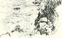 An illustration from The Cathedrals of England and Wales : their history, architecture, and associations ; with a series of Rembrandt plates and many illustrations in the text (1906)