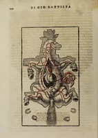 Picture 3 of 40 from Cauallo frenato (1602), leaf 114