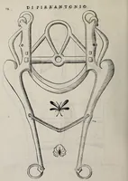 Picture 7 of 40 from Cauallo frenato (1602), leaf 190