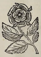An illustration from Cauallo frenato (1602)
