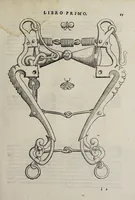 Picture 13 of 40 from Cauallo frenato (1602), leaf 243