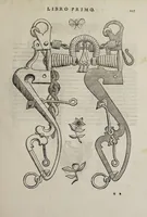 Picture 19 of 40 from Cauallo frenato (1602), leaf 283