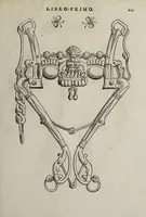 An illustration from Cauallo frenato (1602)