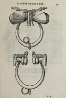 Picture 29 of 40 from Cauallo frenato (1602), leaf 355