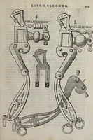 Picture 33 of 40 from Cauallo frenato (1602), leaf 373