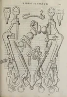 Picture 34 of 40 from Cauallo frenato (1602), leaf 377