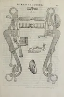 An illustration from Cauallo frenato (1602)