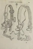 Picture 36 of 40 from Cauallo frenato (1602), leaf 401