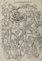 Picture 39 of 40 from Cauallo frenato (1602), leaf 492