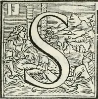 An illustration from Cavalerie della citta di Ferrara : che contengono il Castello di Gorgofervsa, il Monte di Feronia et il Tempio d'amore (1566)