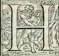 An illustration from Cavalerie della citta di Ferrara : che contengono il Castello di Gorgofervsa, il Monte di Feronia et il Tempio d'amore (1566)